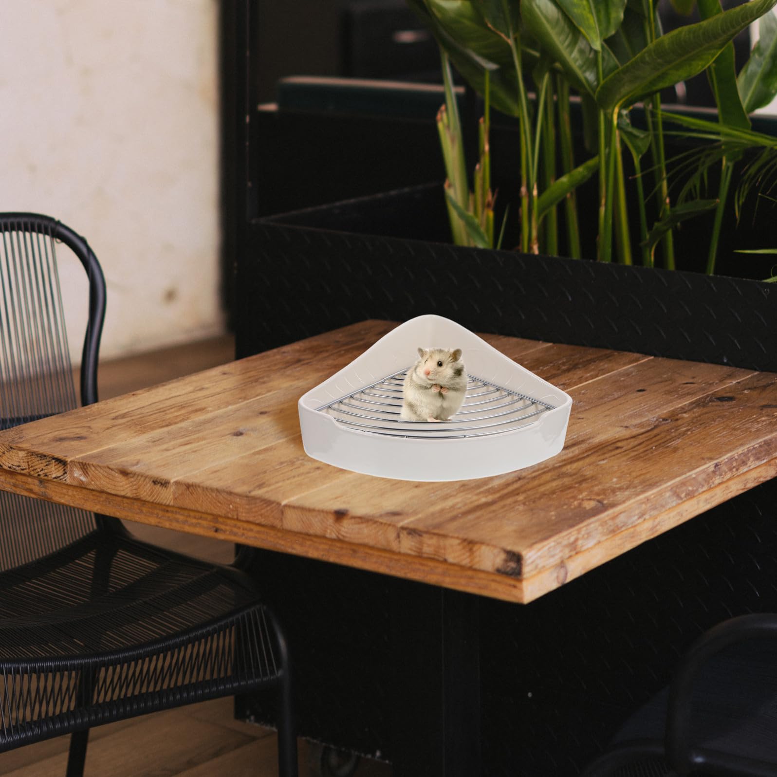 CRAFTHROU Lettiera Triangolare in Materiale Ceramico Bianco per Conigli e Criceti, Resistente alla Ruggine e Facile da Pulire, per Cucina e Bagno
