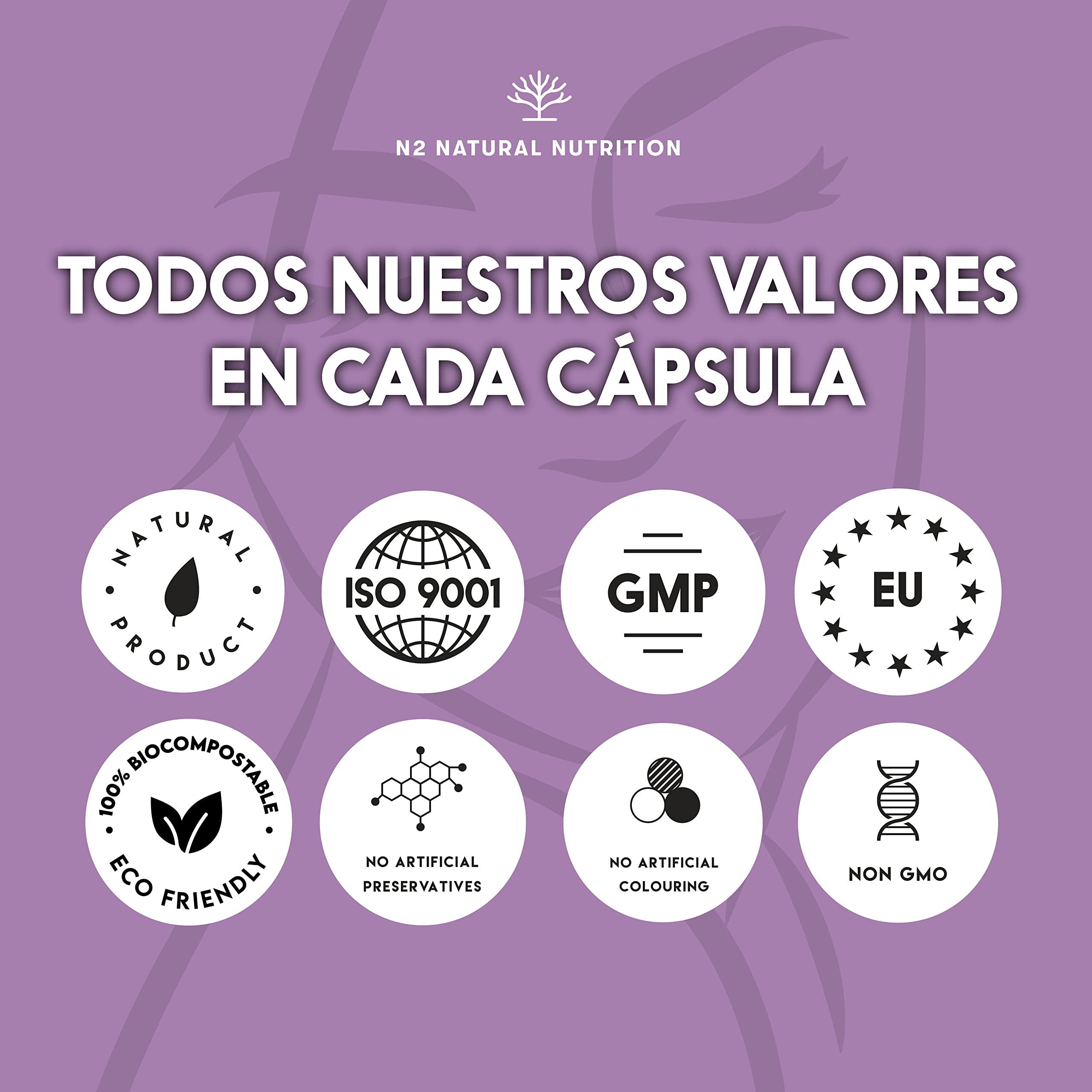 Colageno Hidrolizado con Retinol, Acido Hialuronico, Ceramidas y Niacina. Piel Sana e Hidratada. 90 Cápsulas vegetales. Barrera Natural. Con Vitamina C. CE. N2 Natural Nutrition