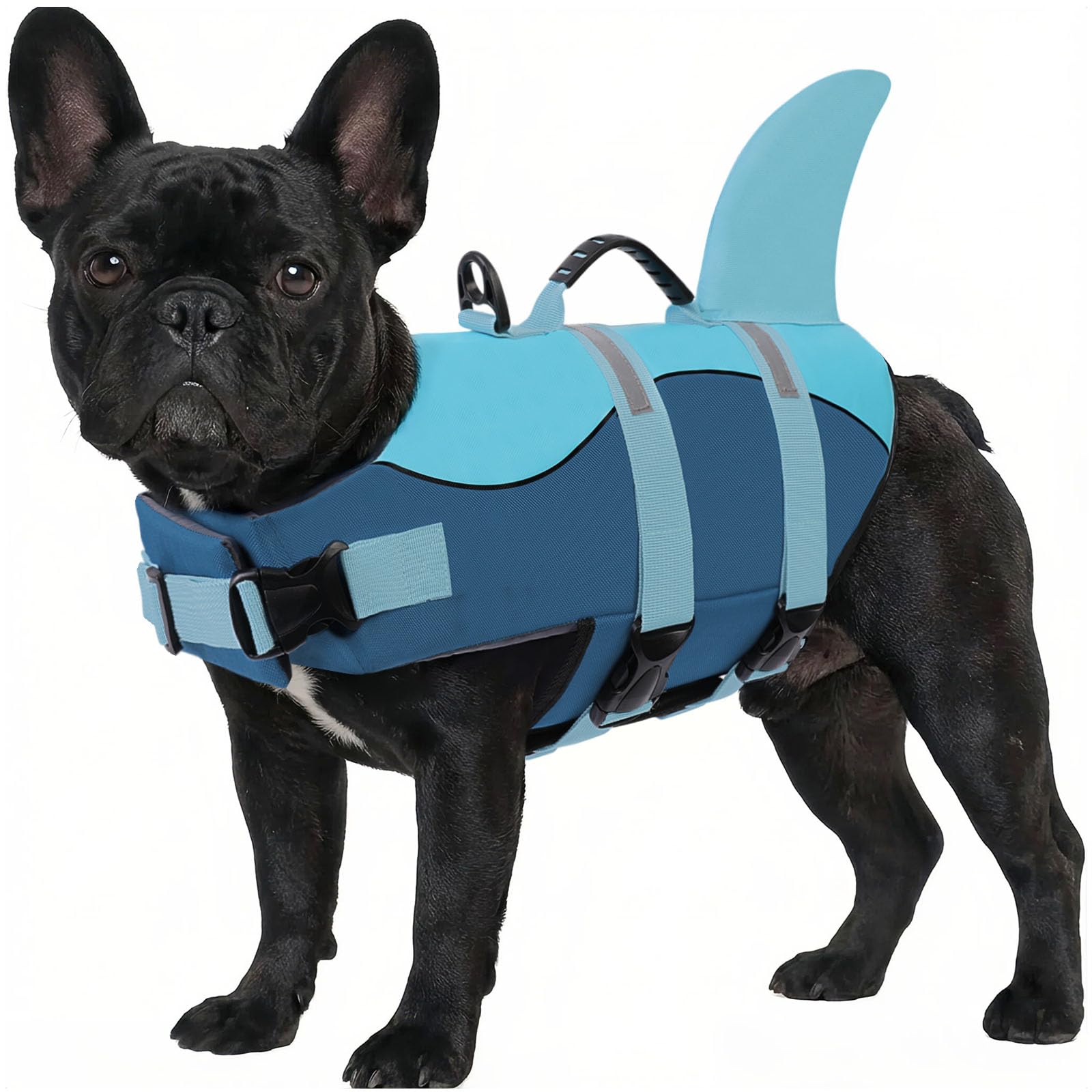 ASENKU Giubbotto Salvagente per Cani, Giubbotto Salvataggio Cane Squalo per Nuoto e Sport Acquatici, con Maniglia Superiore e Cintura di Sicurezza Regolabile, per Cani di Taglia Piccola Media Grande M