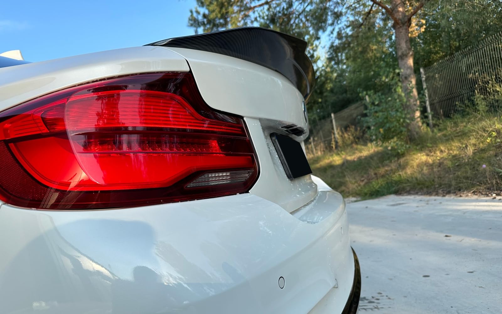 F22 Spoiler bagagliaio PSM Style Carbon per 2 pezzi 2014-2021 M Tuning Coupe 2 porte 218i 220i 230i 240i m240i 218d 220d 230d 240d ABS plastica