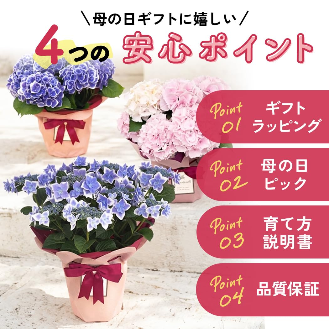 Amazon.co.jp: 【ありがとうの花】 母の日 花 紫陽花 ディープパープル