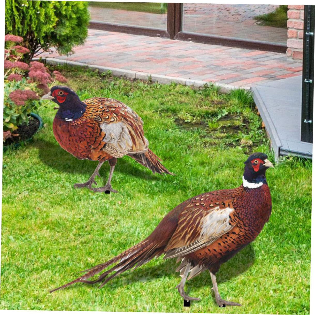 TEHAUX Acryl Gartenschild 2 Satz Doppelseitiger Fasanen Gartenstecker