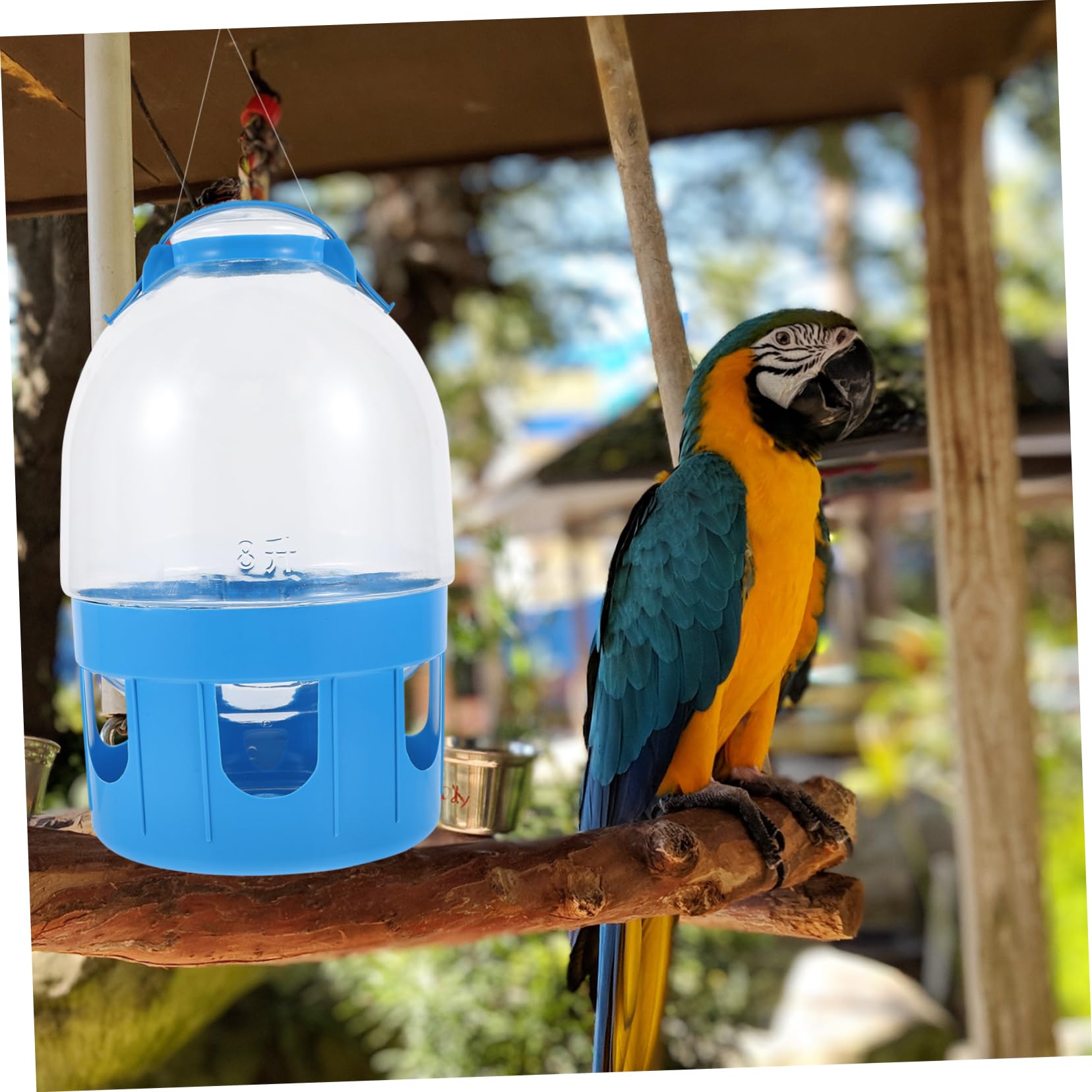 Abaodam Tauben Wasserspender mit Großer Kapazität aus PVC Runde Form Einfache Handhabung und Reinigung für Vogel Wasserversorgung zu Hause Zufällige Farbe