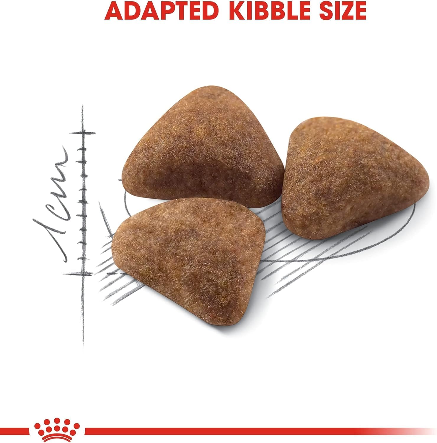 ROYAL CANIN 4kg Indoor 27 Comida para Gatos