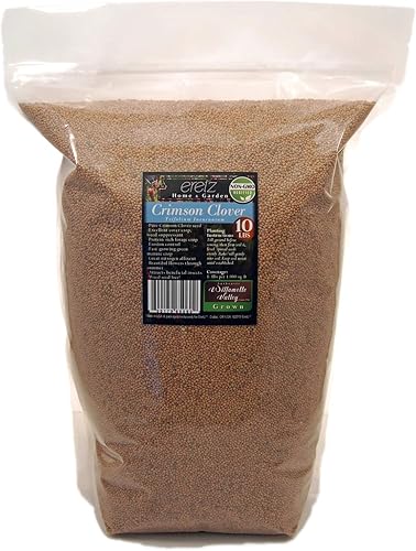 Eretz - Semilla de trébol carmesí (10 libras) Elige el tamaño. Semilla premium de Willamette Valley, cultivada en Oregon, sin recubrimiento, sin