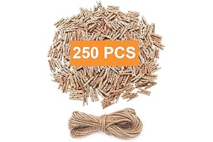 Natural Mini Clothespins for Photos, Crafts and More