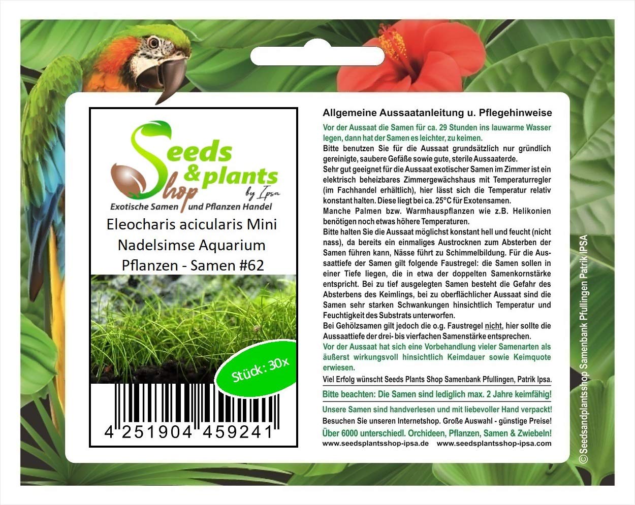 Pz - 30x Eleocharis Acicularis Mini Gronda Ago Acquario Piante - Semi A62 - Seeds & Plants Shop by Ipsa