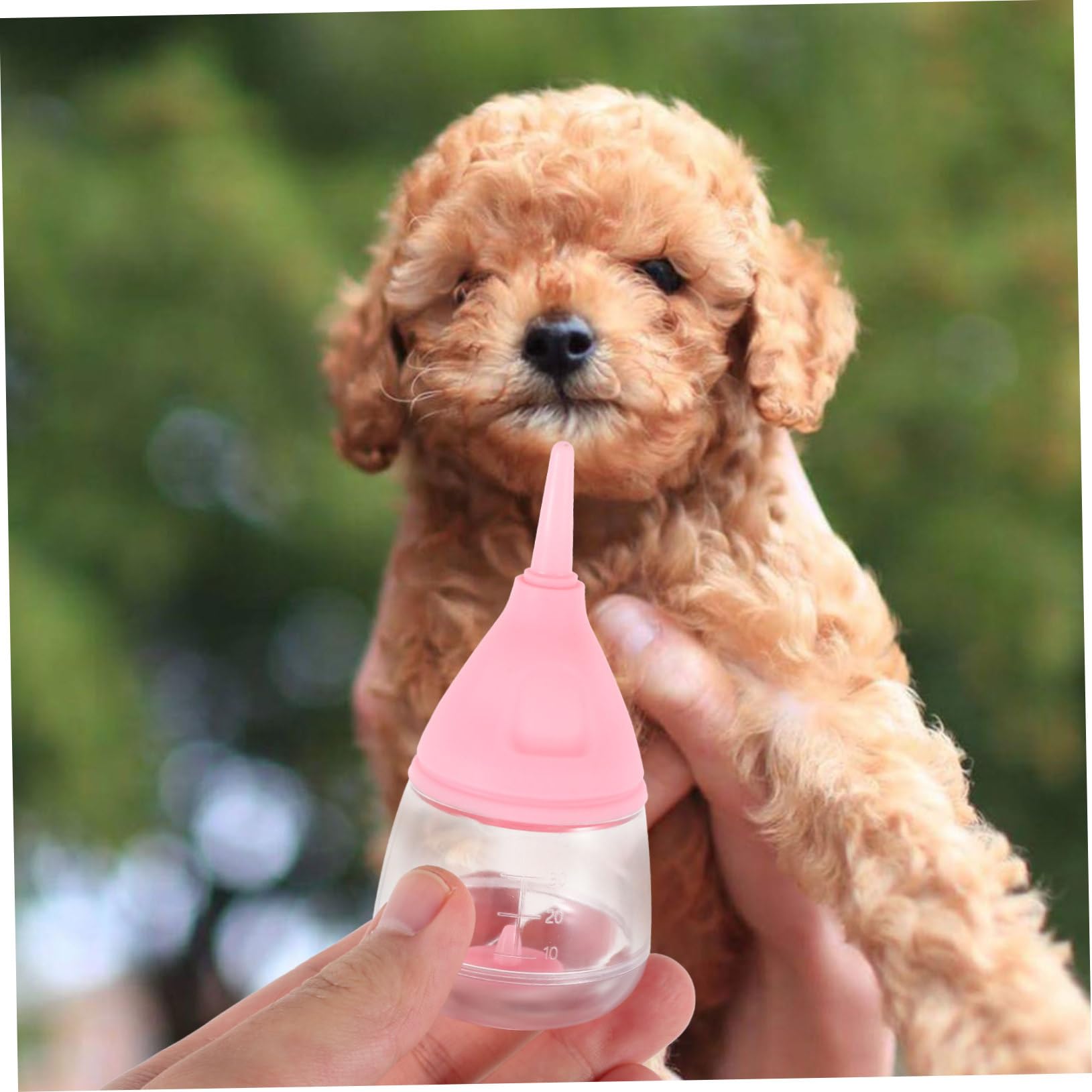 Sosoport 3pezzi Bottiglia per Allattamento per Cuccioli e Gattini Kit con Valvola Antiusura capacità Ottimale per Prevenire Sovralimentazione Materiale Sicuro e Leggero Facile da Pulire e