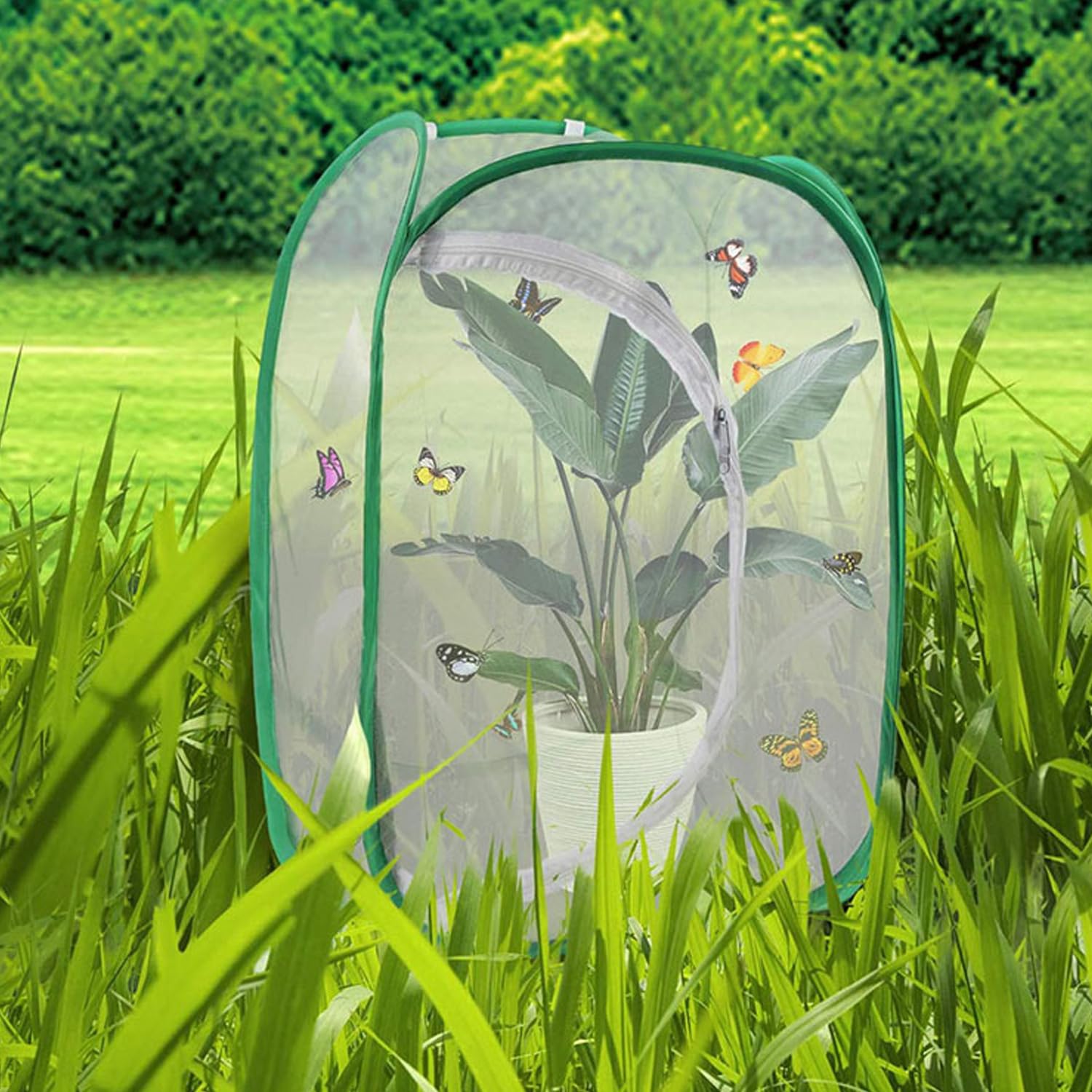 Butterfly and Insect Habitat Cage,Ompinda Collapsible and Transparent Pop-up Butterfly Net Cage for Caterpillars, Flying Insect,Observation Plant — view 6