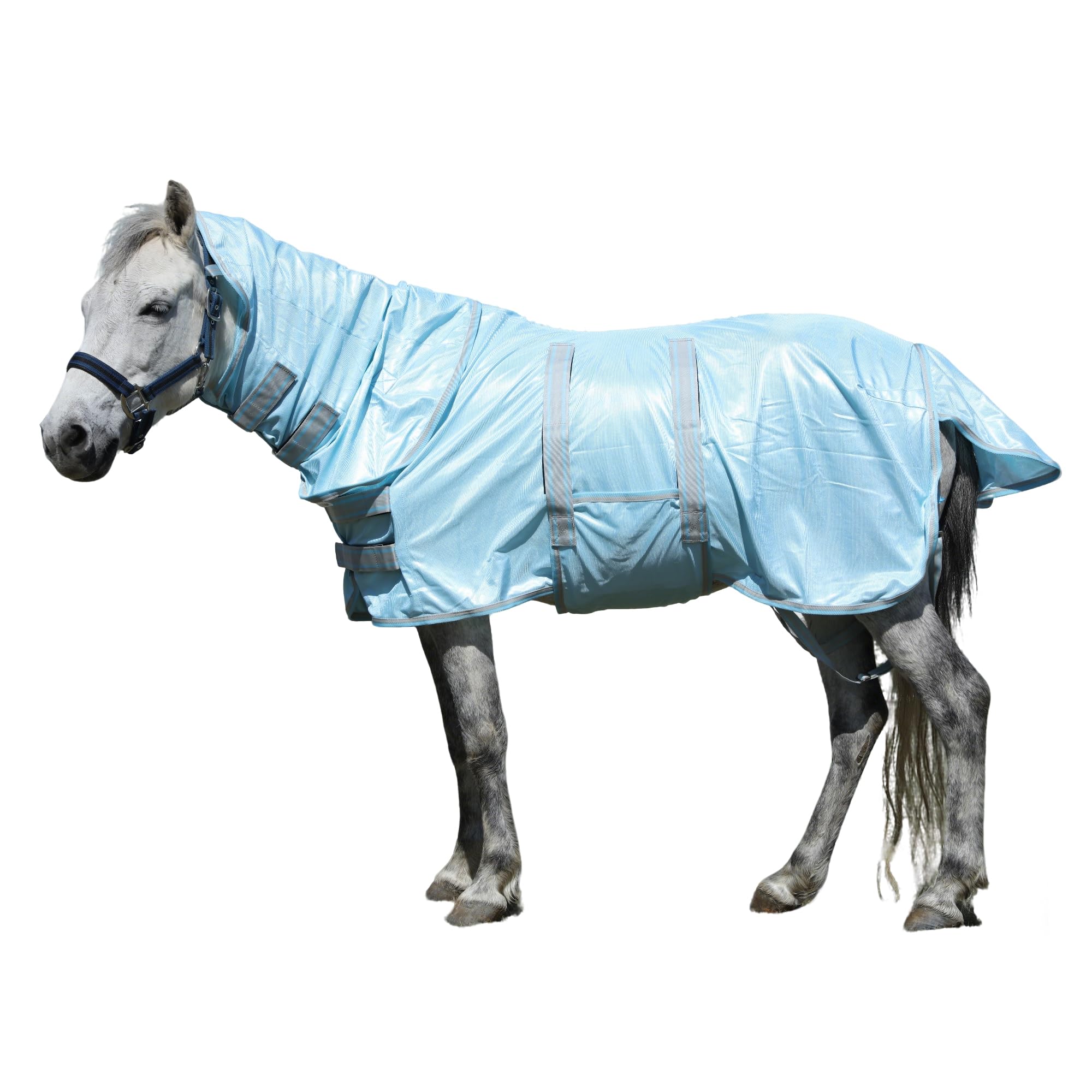 Gallopoff Mini Horse & Pony Mesh Fly Sheet with Neck & Belly Wrap Blue 36 — image 1
