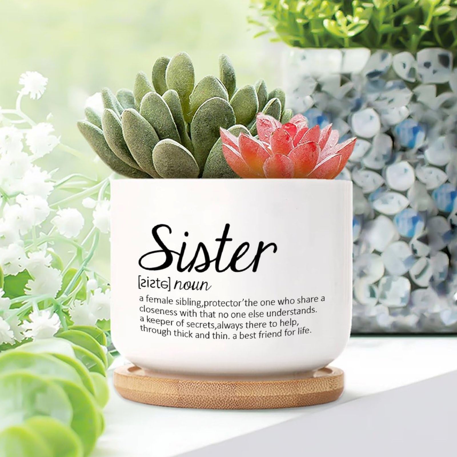 Yelolyio Sister Definition Planters Ceramic Saying Quote Round Flower Pots With Drainage Holes And Bamboo Tray Pot For Home Office Decoration