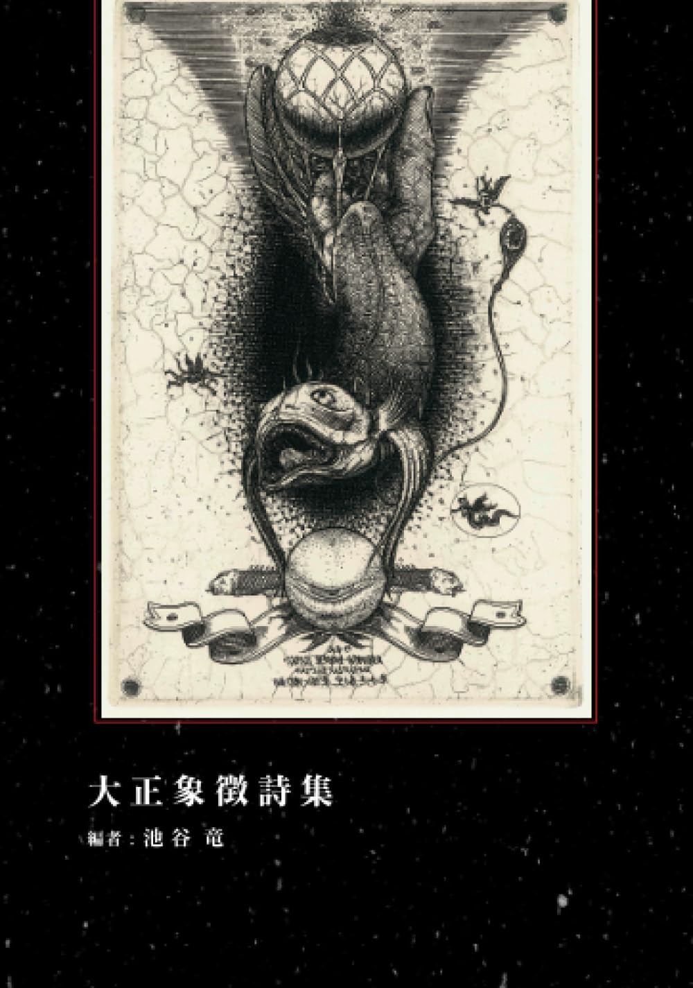 大正象徴詩集 (MyISBN - デザインエッグ社) | 池谷 竜, 多賀 新, 株式