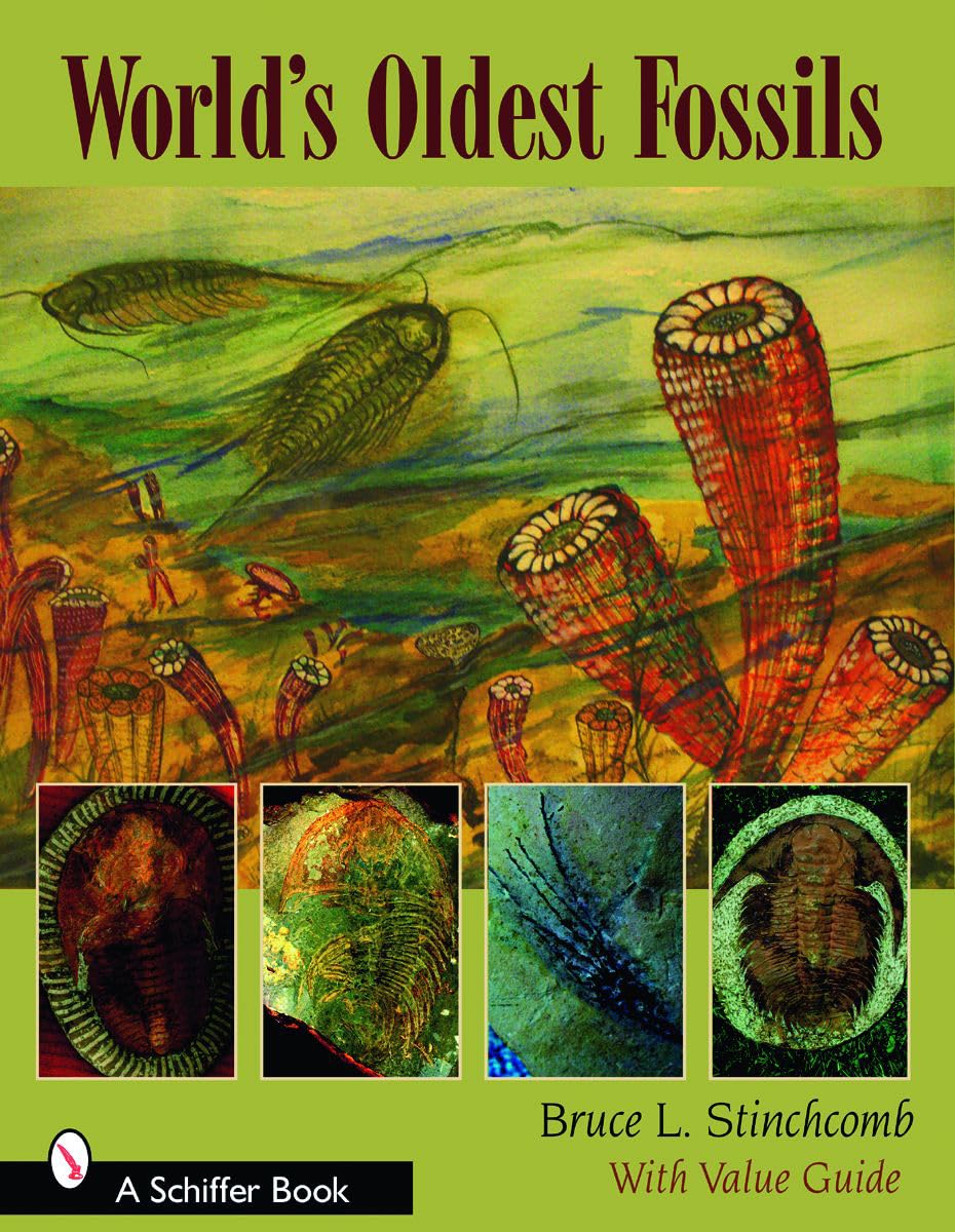 World's Oldest Fossils - Stinchcomb, Bruce L.
