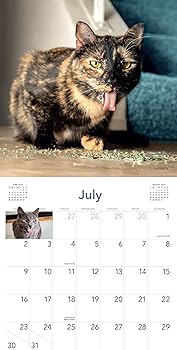 Cats on Catnip Wall Calendar 2023: A Year of Cats Living the High Life and Feeling Niiiiice: Marttila, Andrew, Workman Calendars: 9781523515660: Amazon.com: Books Cats on Catnip Wall Calendar 2023: A Year of Cats Living the High Life and Feeling Niiiiice: Marttila, Andrew, Workman Calendars: 9781523515660: Amazon.com: Books