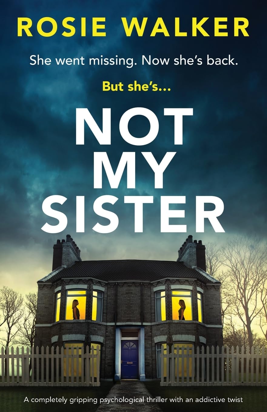 Not My Sister: A completely gripping psychological thriller with an addictive twist
