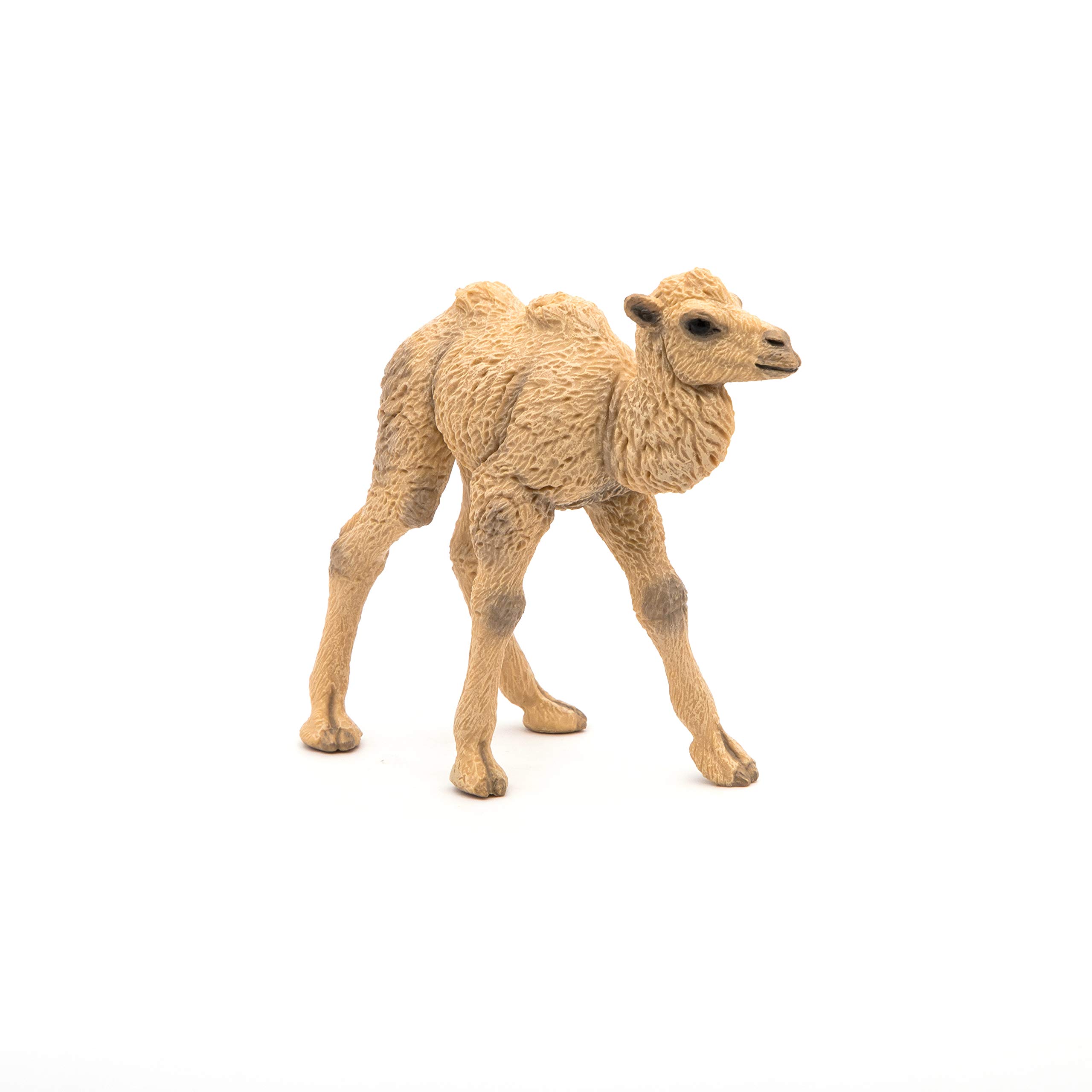 WILD ANIMAL KINGDOM Figurine, 50221 Camel Calf, Multicolour