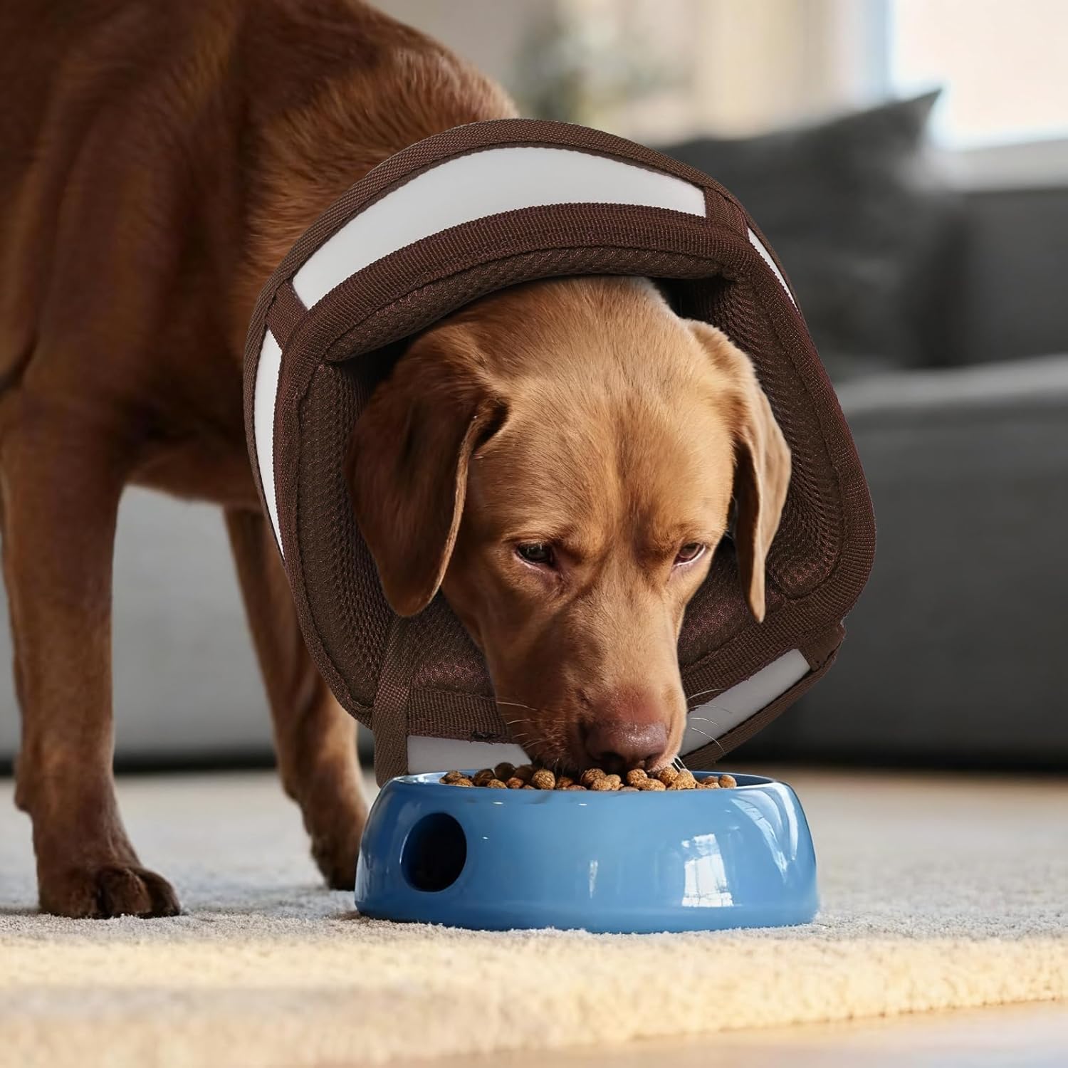 Soft Dog Cone Collar to Stop Licking - Adjustable for Small Dogs | Prevents Licking Wounds After Surgery & Skin Disease,Lightweight,Comfortable Elizabethan Recovery Cone (Brown,S)