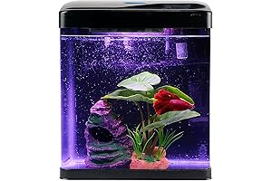 Betta Aquarium Kit: 2-gallon Self-Cleaning Glass Nano Tank for Desktop