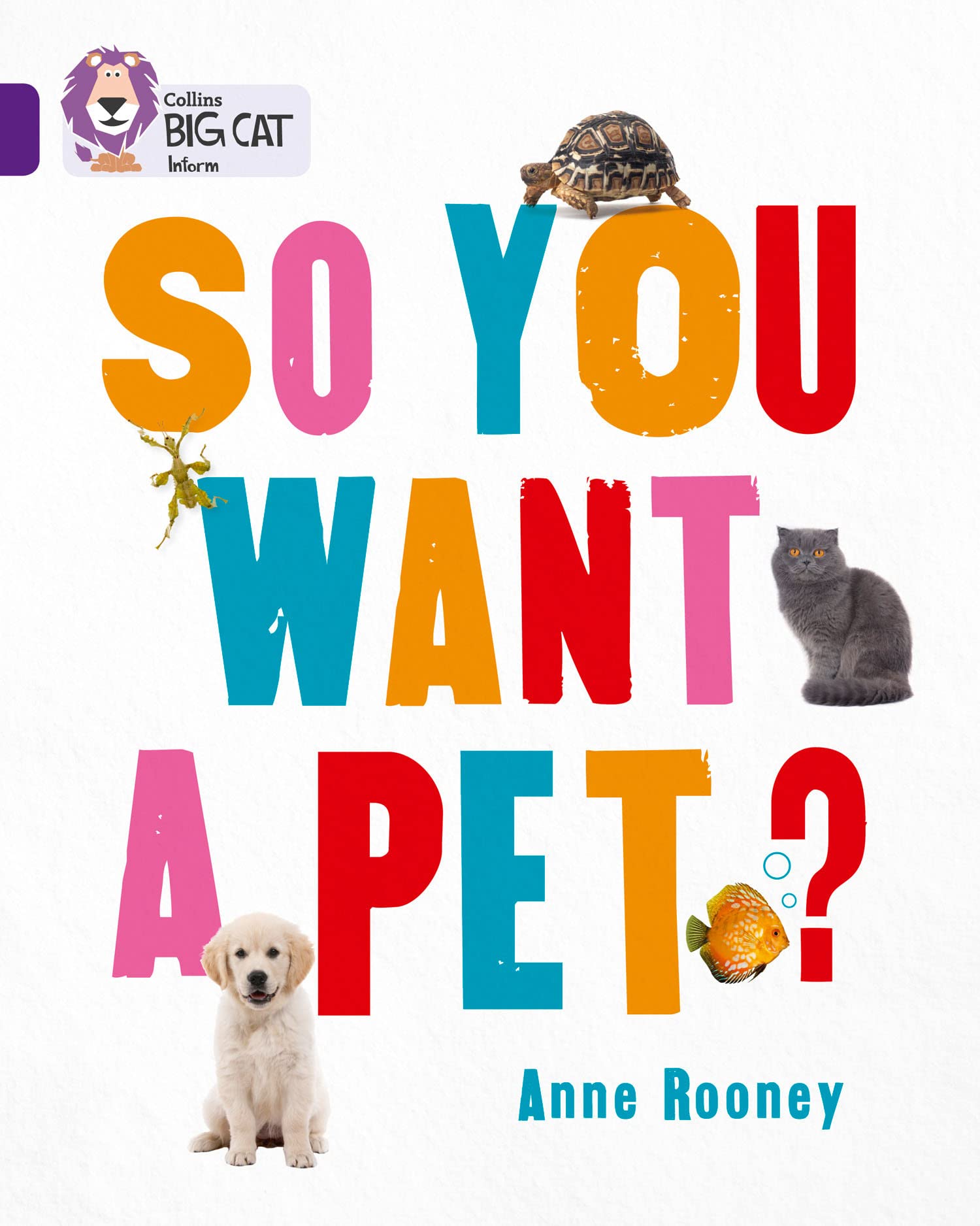 So You Want A Pet?: Band 08/Purple (Collins Big Cat) By Anne Rooney,Collins Big