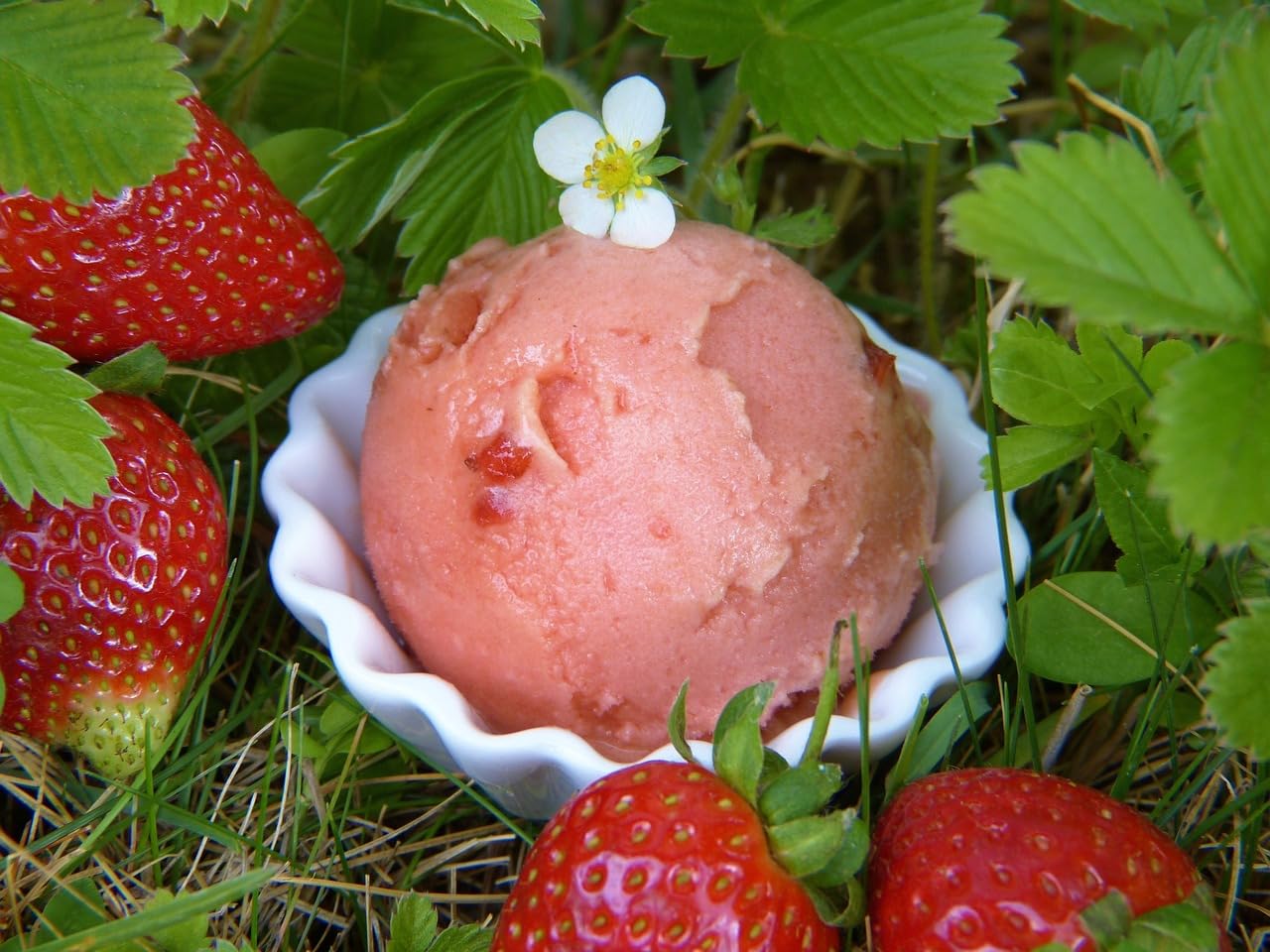 Caramanfruit Erdbeere-Frucht-Püree - 1kg - intensiv süße Erdbeeren, Beeren-Püree, frei von Farb- und Konservierungsstoffen, für Cocktails, Müsli, Porridges, Smoothies, als Sorbet oder Eis (1er)