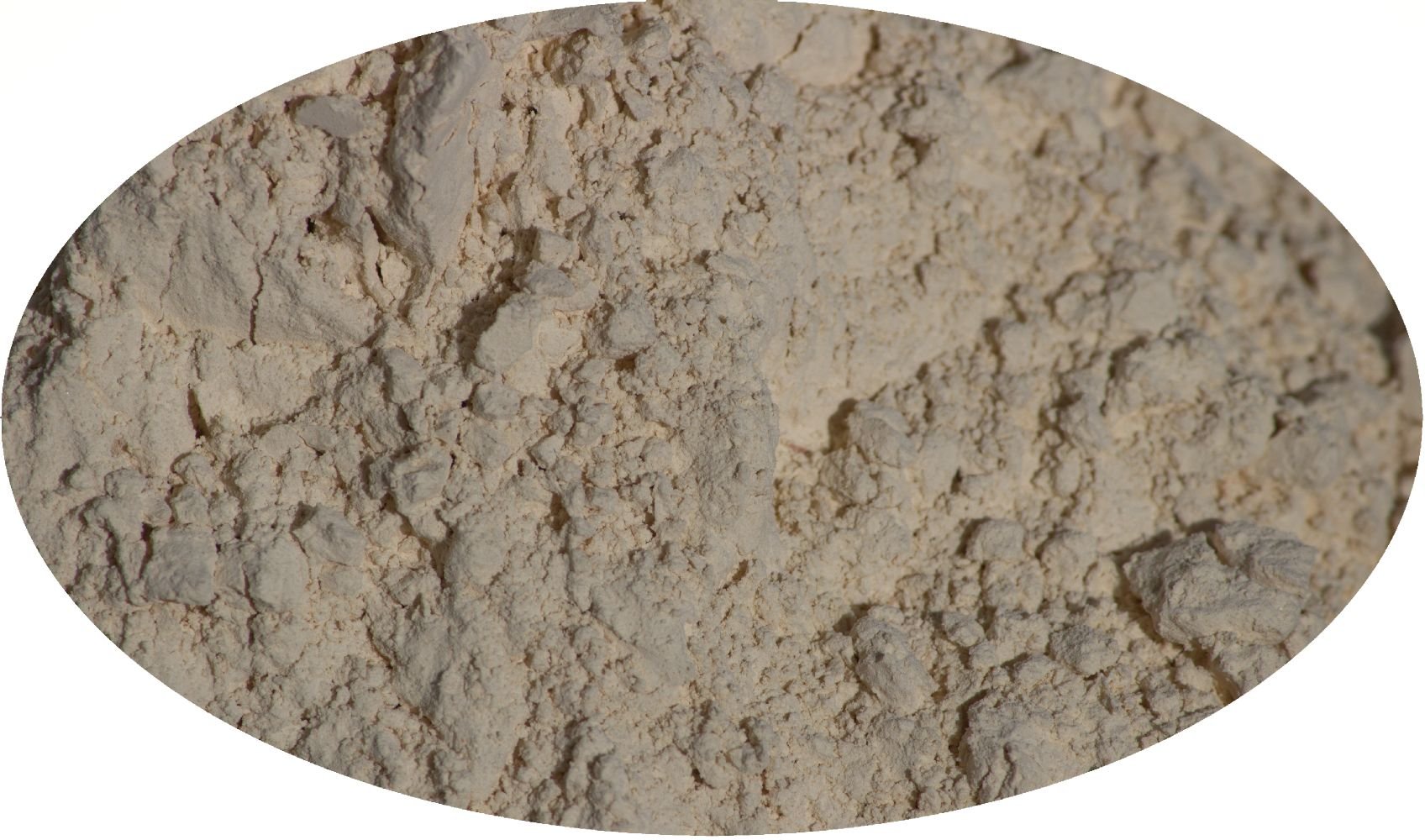 Eder Gewürze - Knoblauchpulver - 5kg