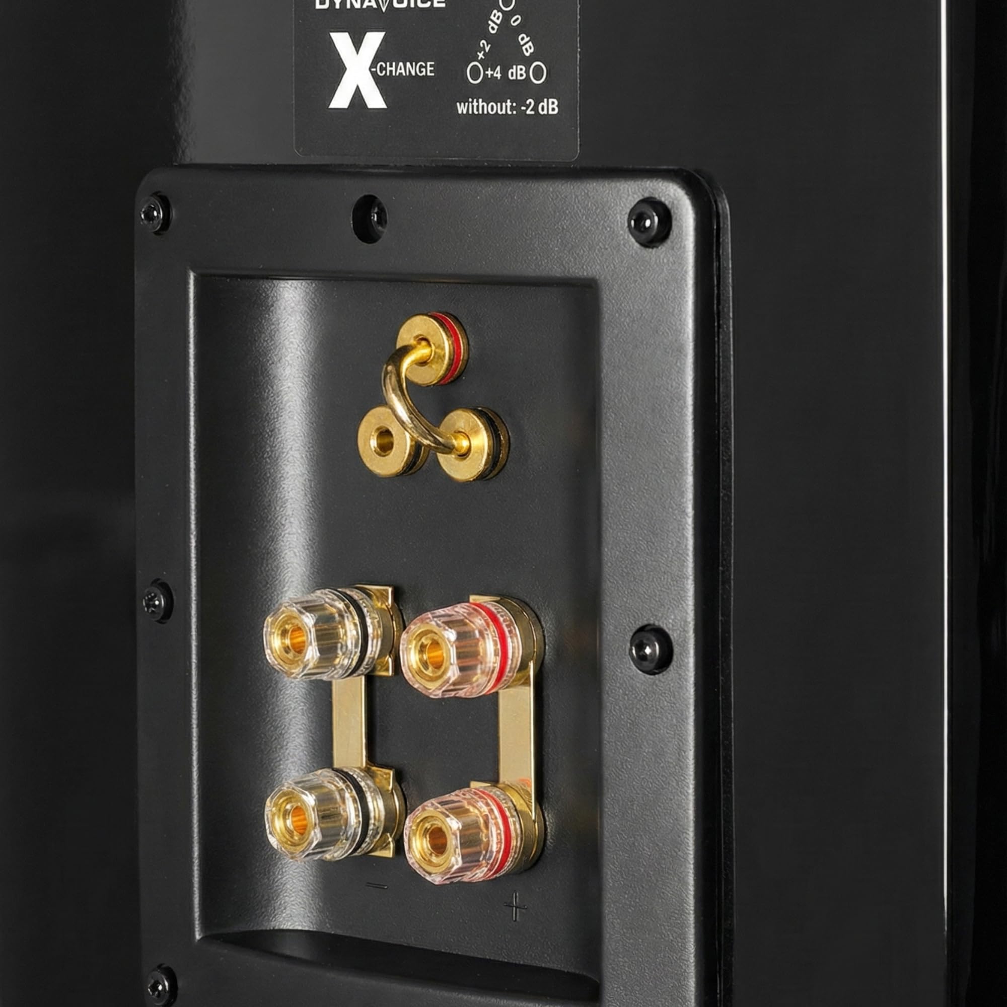 Dynavoice Definition DF-8II | Diffusori da Pavimento HiFi 3 Vie | Coppia | 2x8 Kevlar | 200W RMS | 94dB | X-Range | Bi-Wire Bi-Amp | Nero Lucido/Nero Opaco.