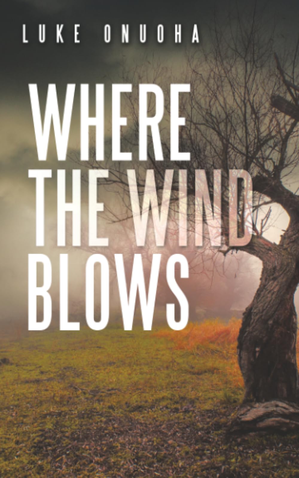 Where the Wind Blows