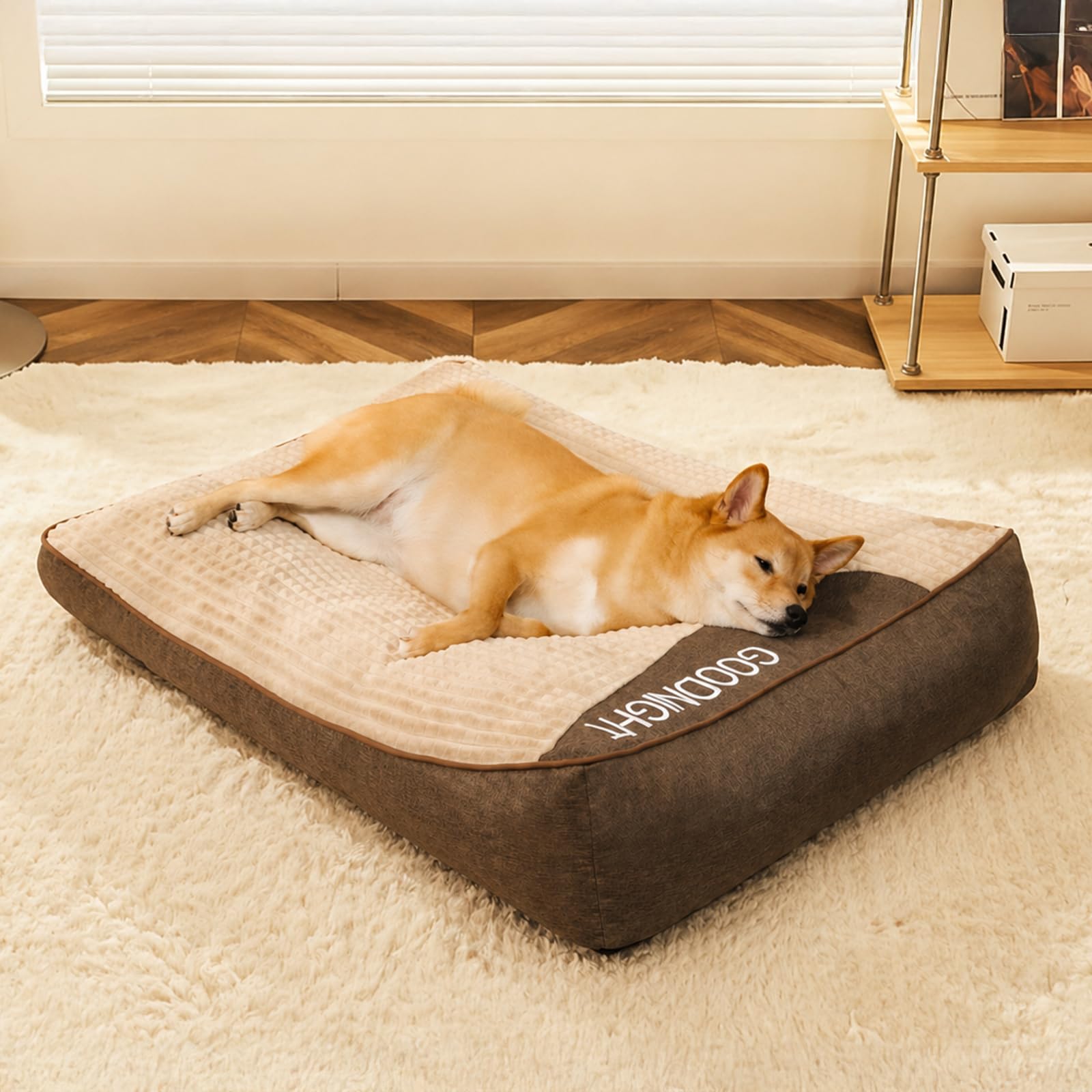 FUNNY FUZZY Orthopaedic Dog Beds & Dog Cushion Bed – Velvety Plush Washable Pet Bed, Shredded Memory Foam Support, Non-Slip Dog Sleeping Mat & Cosy Nap Spot for Large Dogs (100 x 75 x 21 cm)