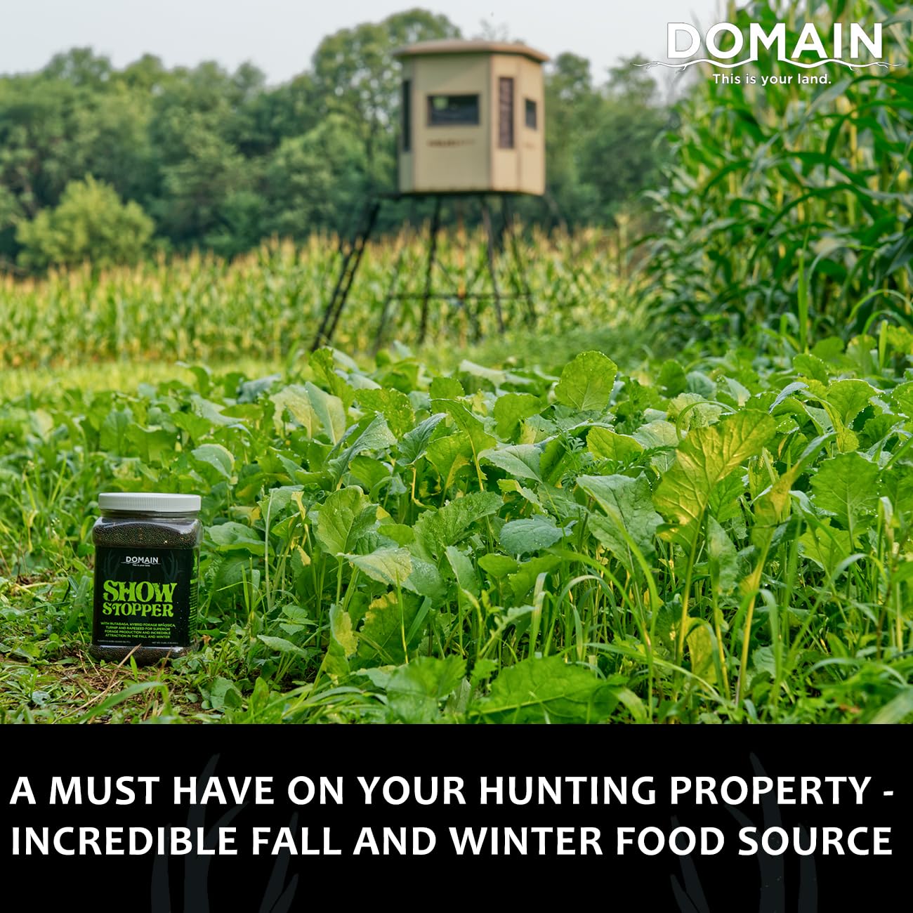 Domain Outdoor Show Stopper Food Plot Seeds for Deer, 1/2 Acre, Rutabaga, Hybrid Forage Brassica, Turnip and Rapeseed, Carefully Selected Plant Varieties, Superior Re-Growth Potential