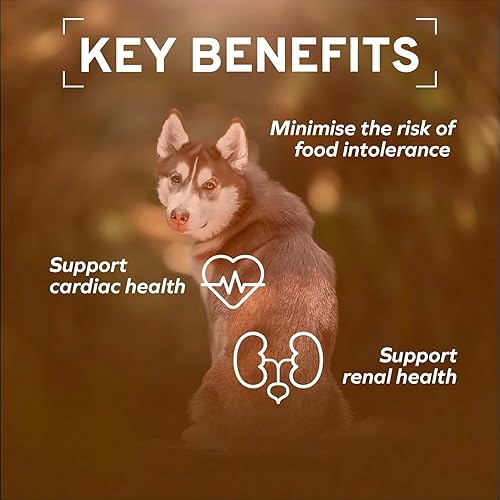 Miniatura 5 de Forza10 - Dog Food, Vet Formulated Wet Dog Food for Kidney Support, Non-GMO, Lamb Flavor, Made in Italy (3.5 oz, 4 Pack)