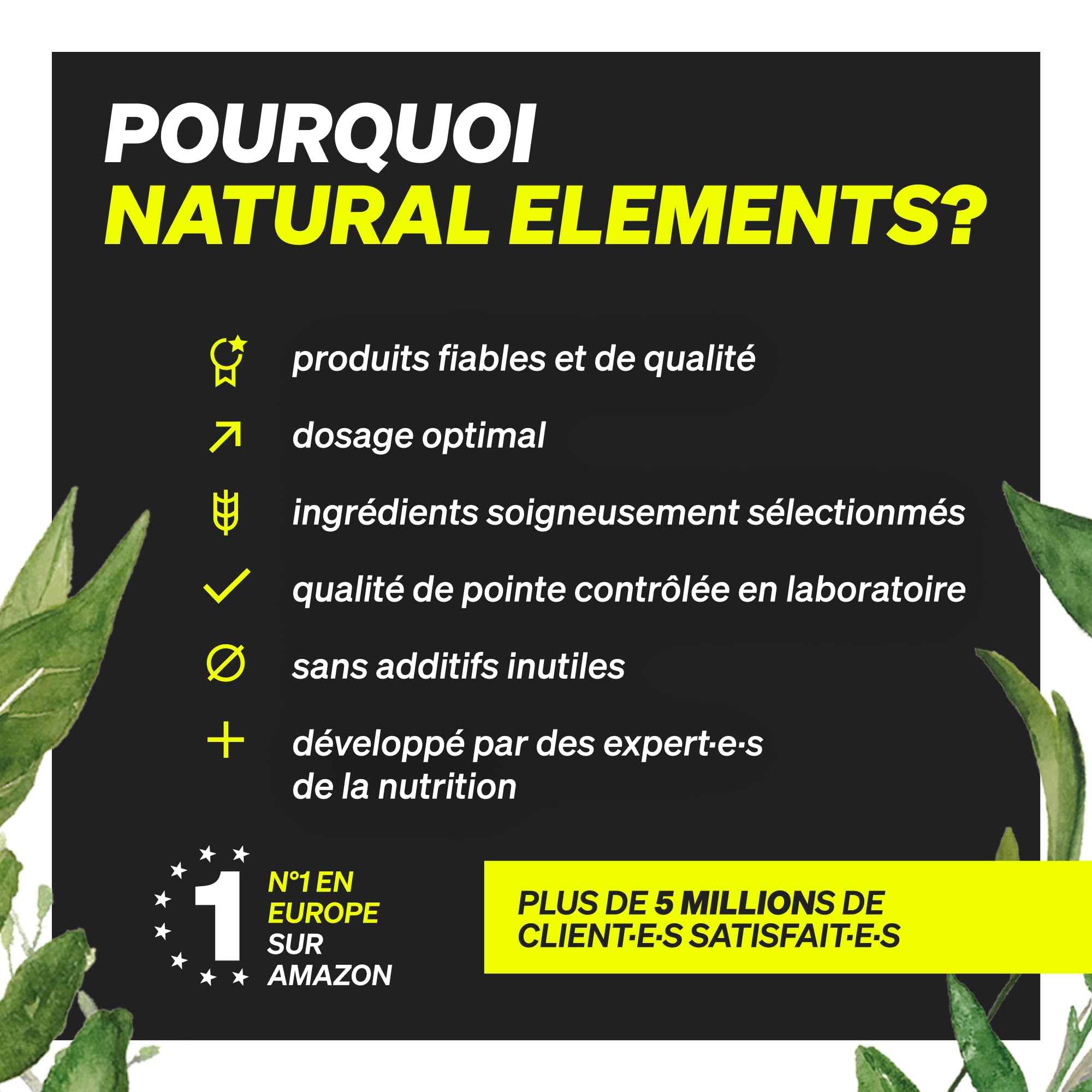 Malate de L-Citrulline en Poudre 2:1 – 500 g de poudre – idéal pour le sport – végane, haute pureté, hautement dosé, sans additifs – produit en Allemagne et contrôlé en laboratoire