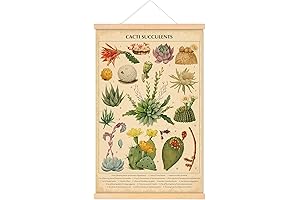 Desert Oasis: Vintage Cacti Succulents Poster
