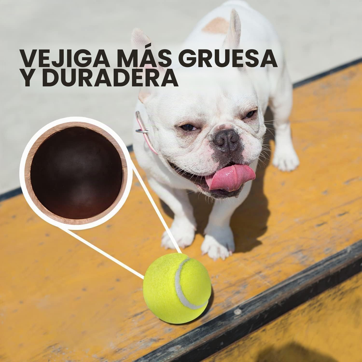 ALL FOR PAWS 6PCS Pelotas de Tenis de 2" para Perros, Juguetes de Buscar y Traer para Perros Pequeños y Medianos, Pelotas de Tenis Saltarinas y Duraderas para Lanzador de Pelotas