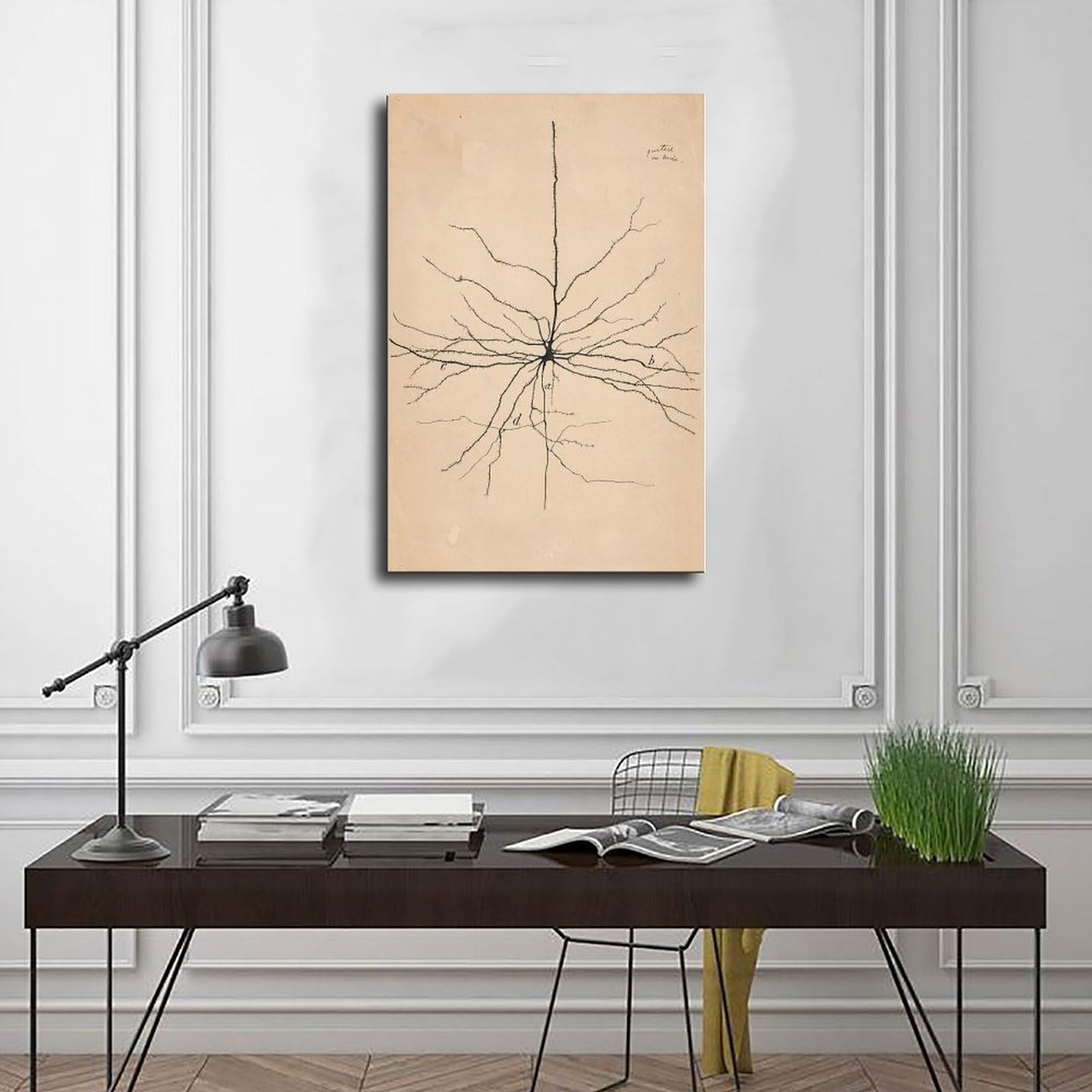 WCYB Pyramida Neuron Drawing From Santiago Ramón Y Cajal 1904 Poster stampe su tela Deco Dipinti Wall Art Hangable Frame 20,3 cm L x 30,5 cm W