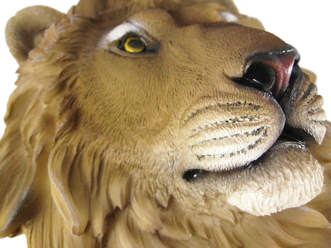 African Lion Head Mount Wall Statue Mini Bust Leo 9.5 in.