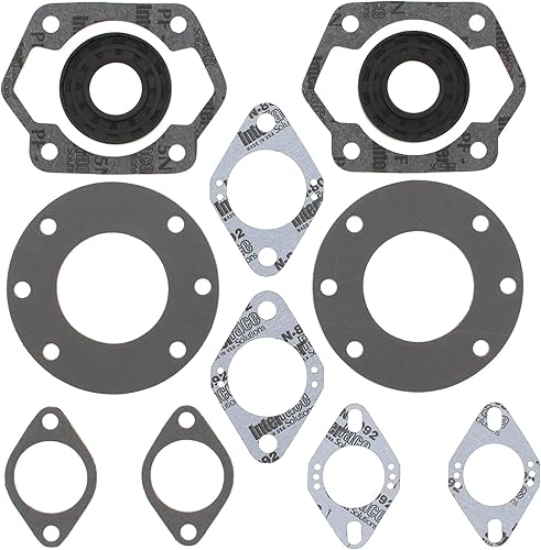 1973-1978 Ski Doo Tnt FA Juego de juntas profesionales con sellos de aceite