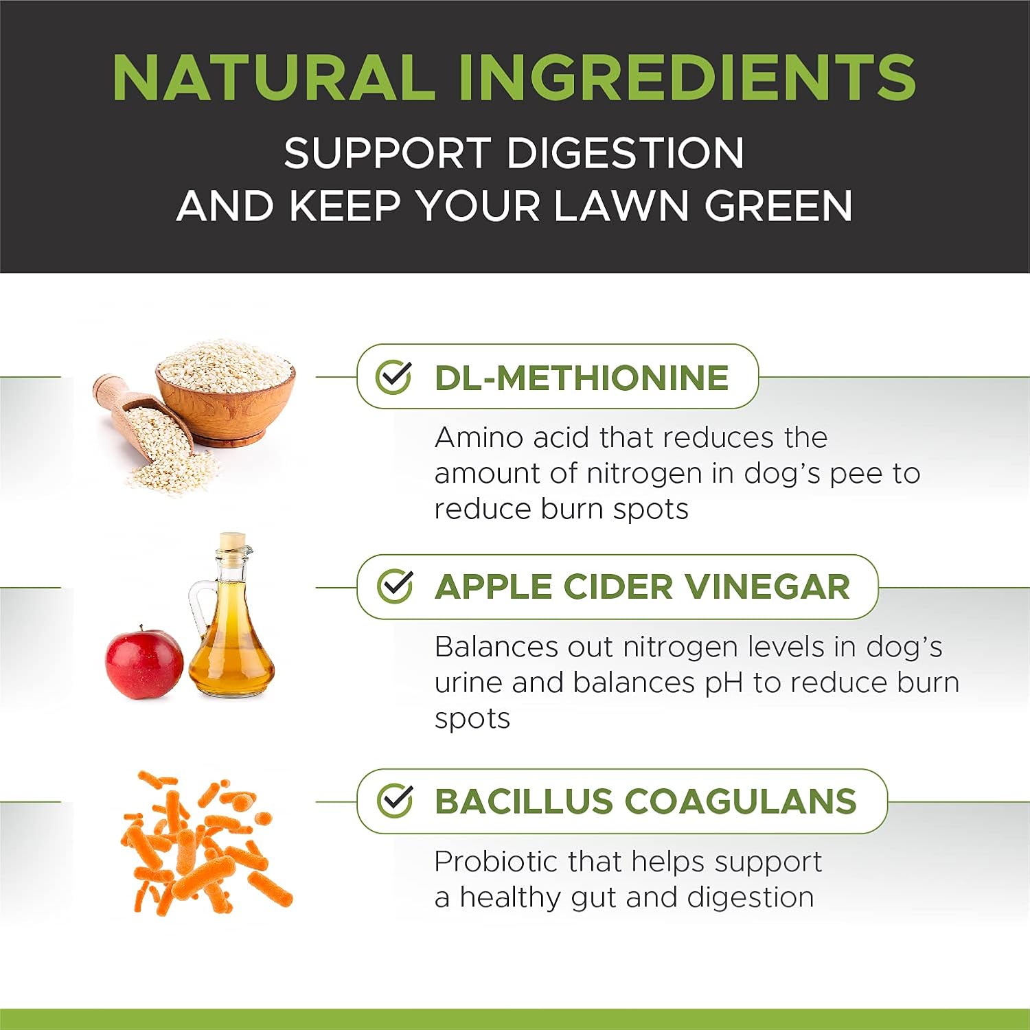 Buy Pethonesty Grassgreen Grass Burn Spot Chews For Dogs Dog Pee Lawn Spot Saver Treatment Caused By Dog Urine Cranberry Apple Cider Vinegar Dl Methionine Grass Treatment Rocks 90 Chews