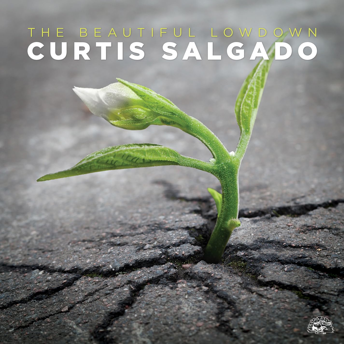 CURTIS SALGADO - THE BEAUTIFUL LOWDOWN CD VERY GOOD CONDITION