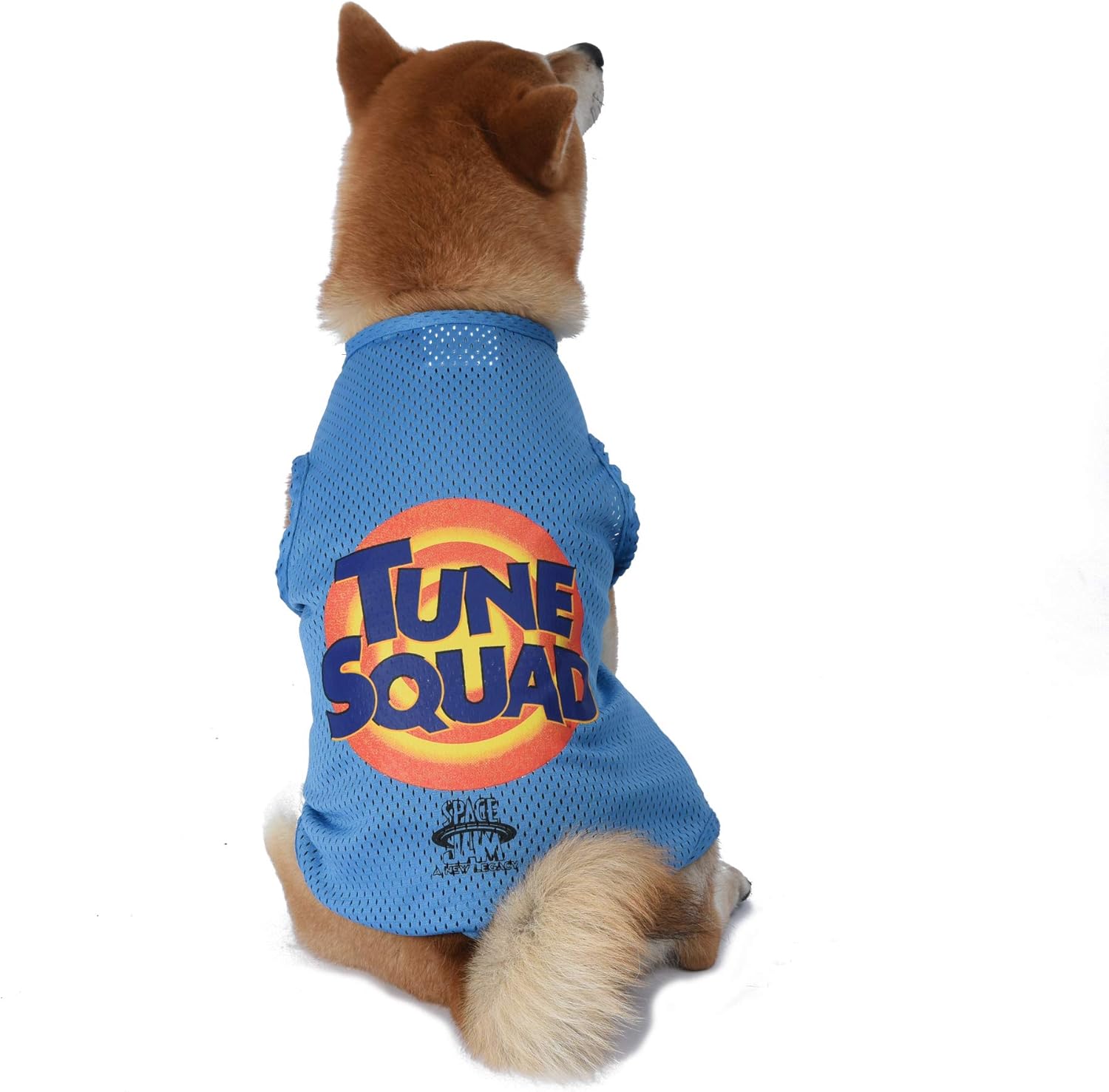 Tune squad dog jersey Clearance