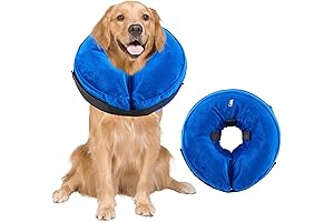 Inflatable Dog Cone: Protective Comfort for Post-Surgery Recovery