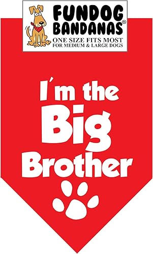 Miniatura 8 de Bandana para perros con texto en inglés "I'm The Big Brother" (talla única para perros medianos a grandes, negro)