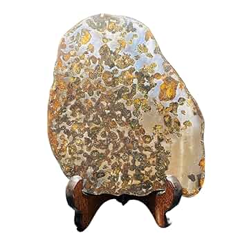 Amazon.co.jp: 【鑑別書付き】 パラサイト隕石 231.5g 男女兼用