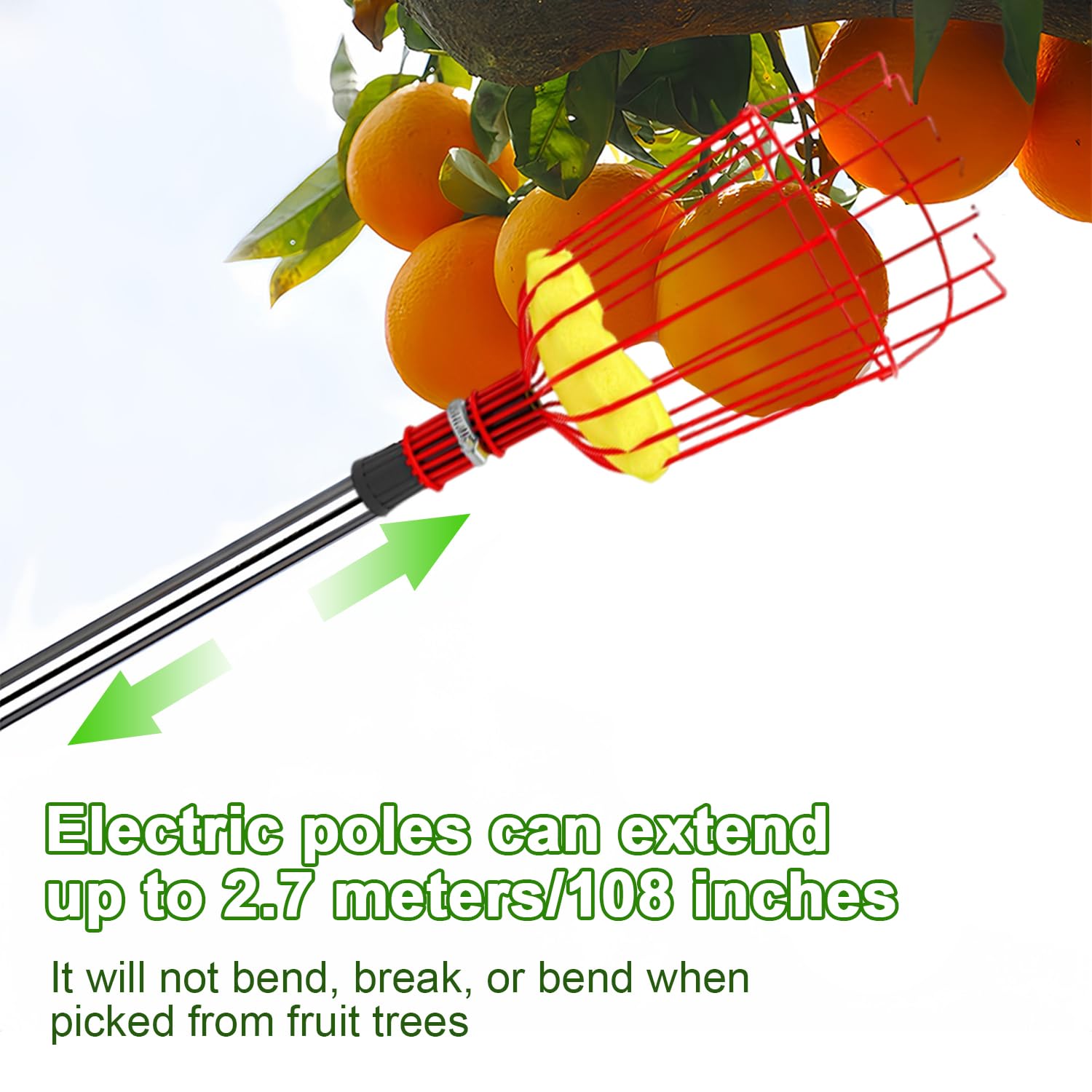 Obstpflücker 4,2m Teleskopstiel - Mit Edelstahl Stange Und Baumwollbeutel