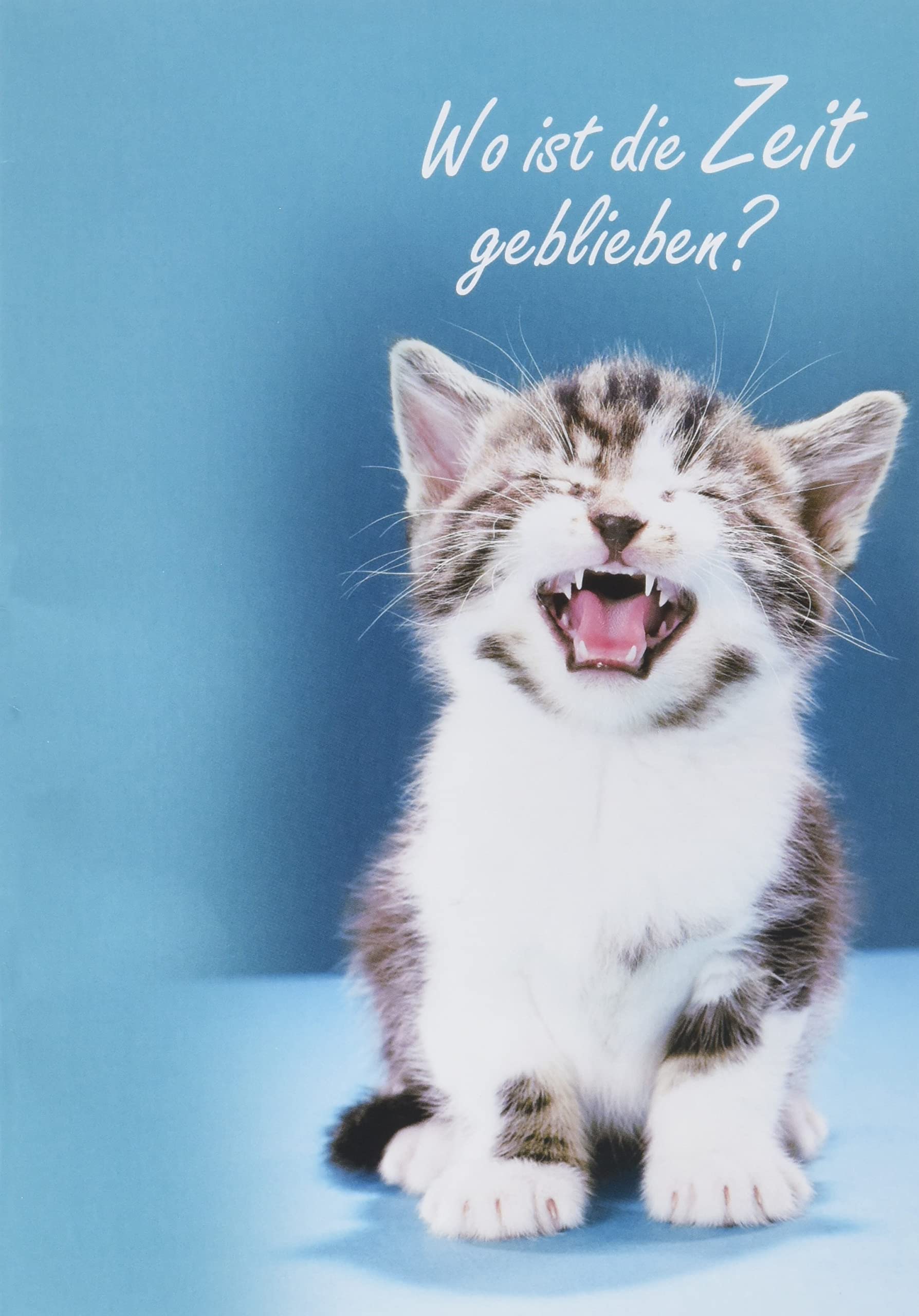 Basic Classic Birthday Card - Cat - 11.6 x 16.6 cm