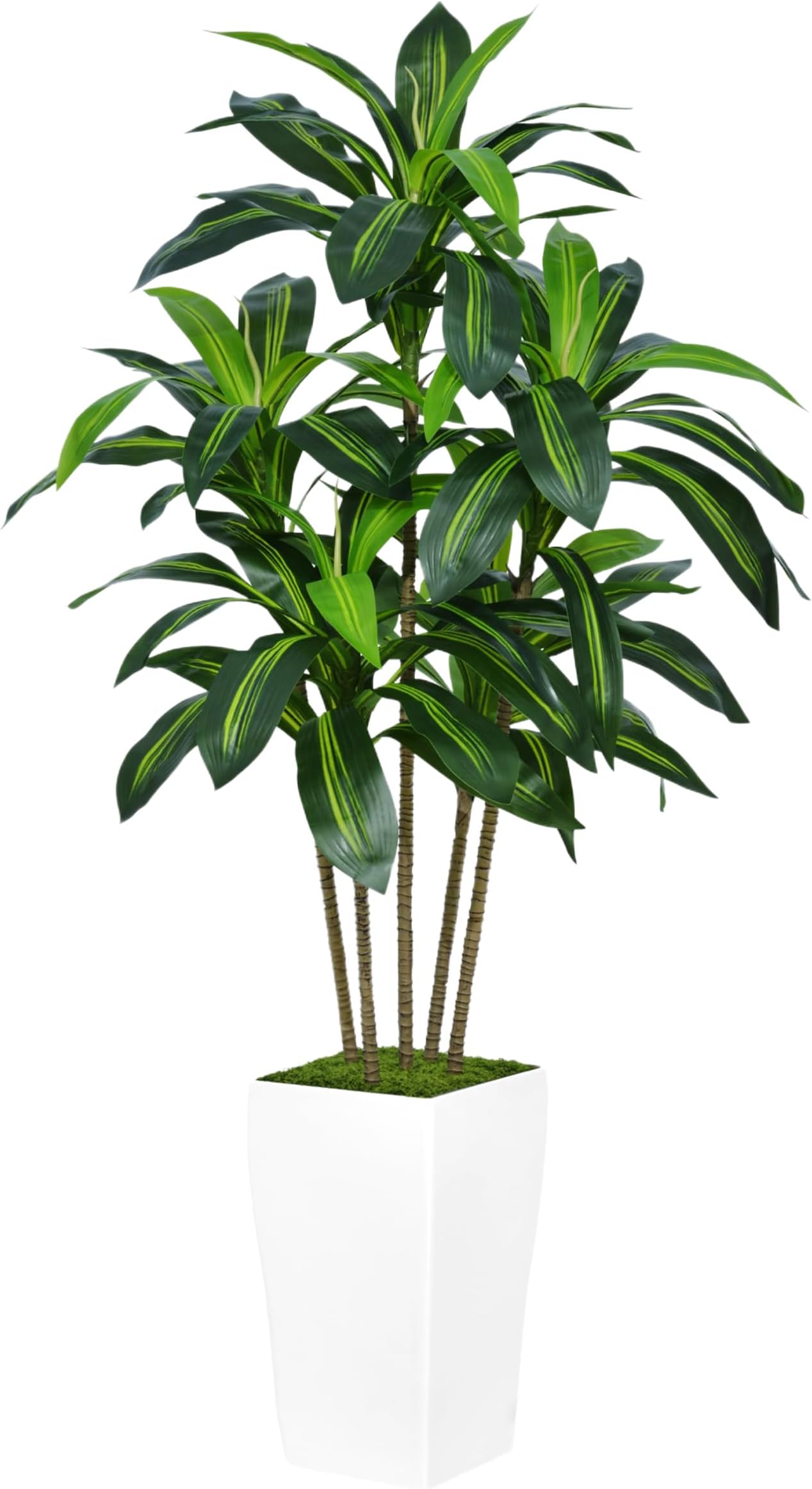 5ft Tall Artificial Dracaena Tree In White Planter - Fake Silk Yucca Plant For Home & Office Decor 1 thumbnail image