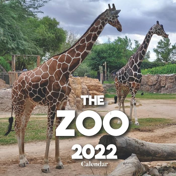 buy-zoo-calendar-2022-a-monthly-and-weekly-12-months-calendar-2022