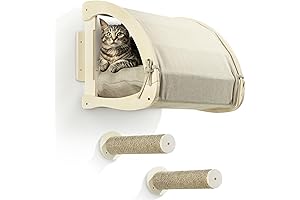 Wall-Mounted Cat Bed: The Ultimate Space-Saving Sanctuary