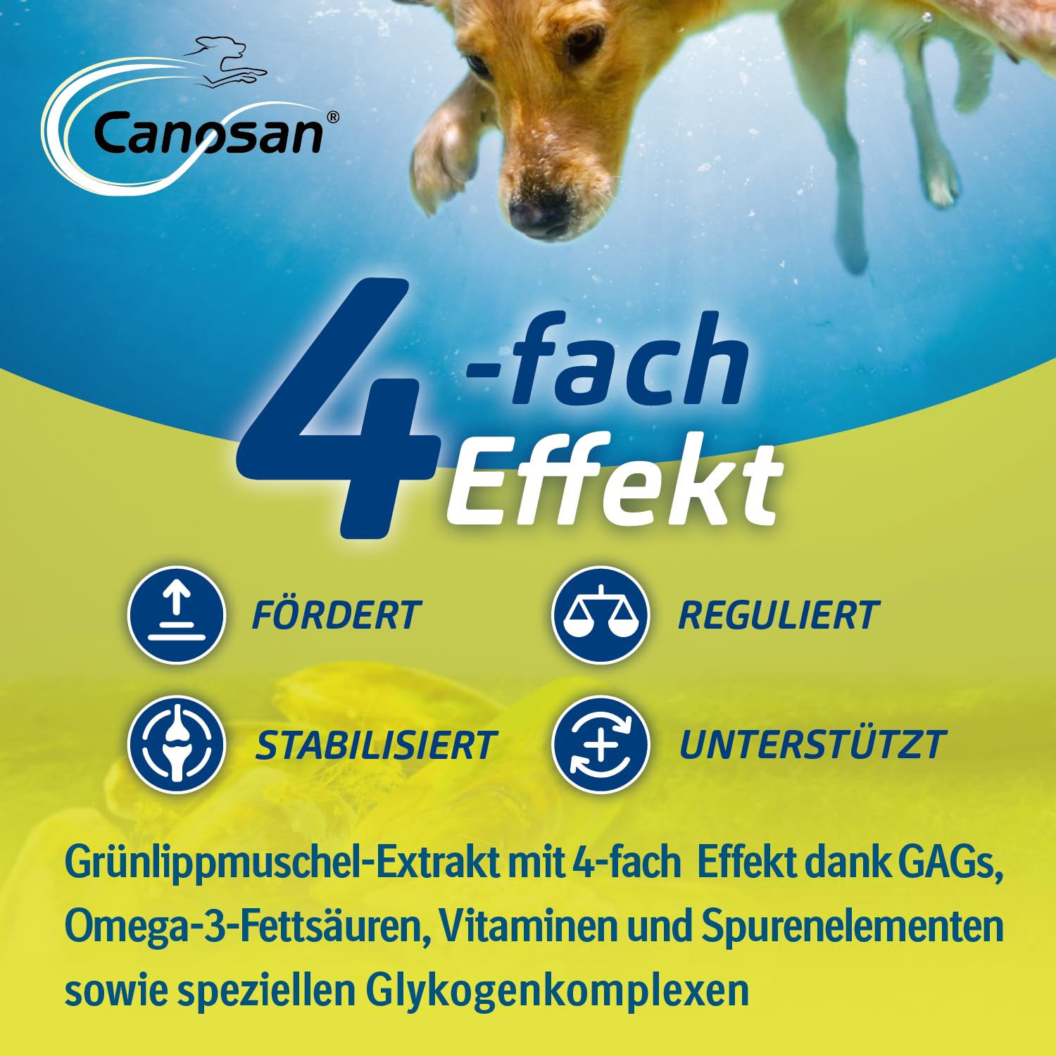 CANOSAN Gelenk Kautabletten 30 STK. für Hunde - Grünlippmuschel | Original Gonex - zur Unterstützung von Gelenken & Beweglichkeit