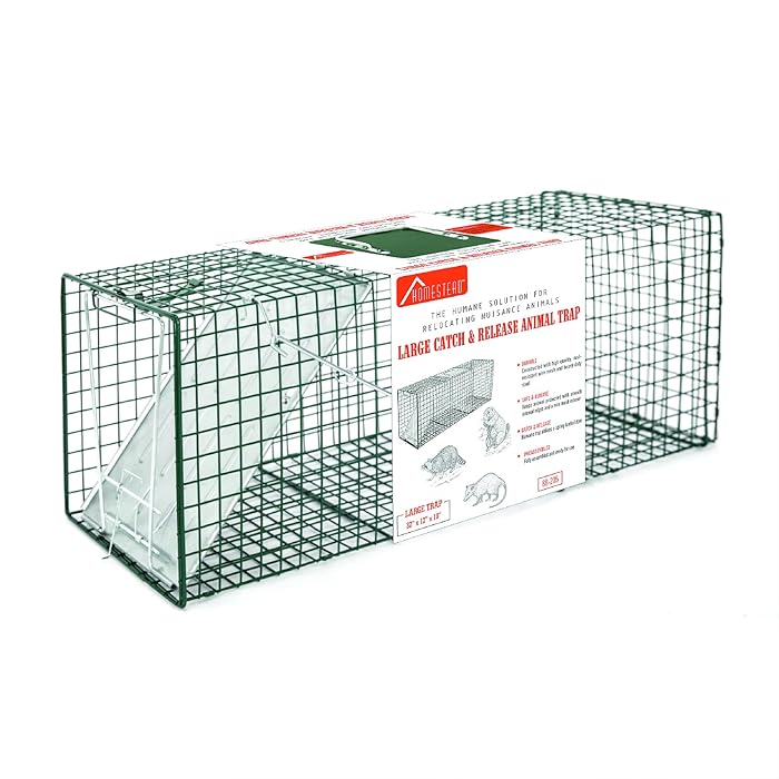 Buy HOMESTEAD 32 Inch Live Animal Trap Specialized for Raccoons