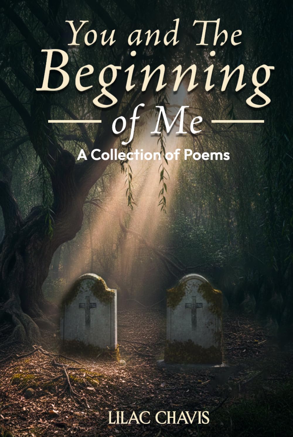 You & The Beginning of Me: A Collection of Poems